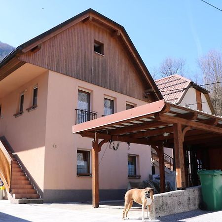 Ferienwohnung Apartma Na Vasi Zaga Exterior foto
