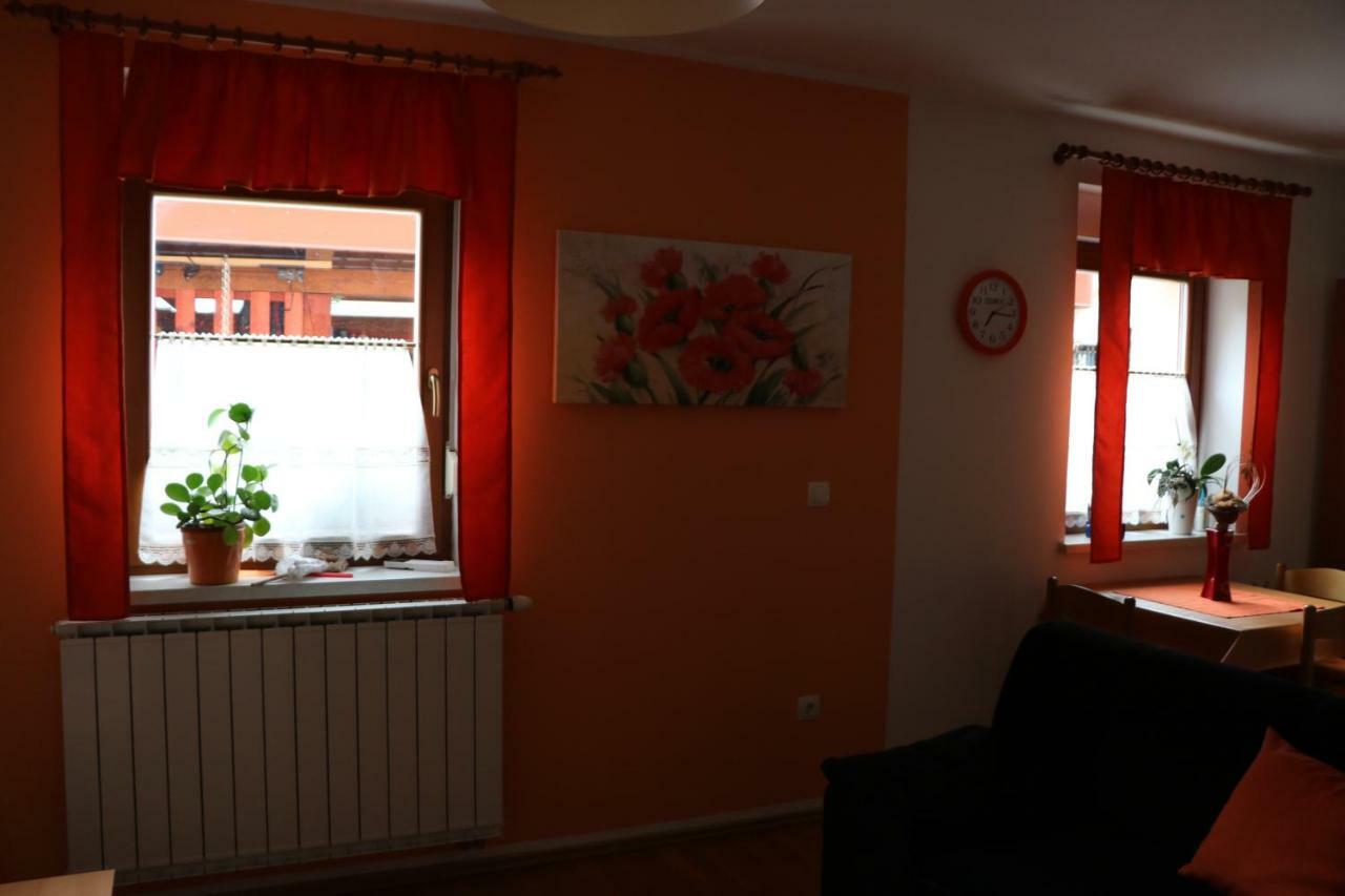 Ferienwohnung Apartma Na Vasi Zaga Exterior foto